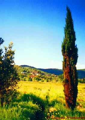 View toward Lucignano